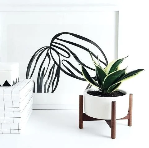 modernica-case-study-planter-case-ceramic-table-top-cylinder-pot-planter-modernica-case-study-planter-australia.jpg