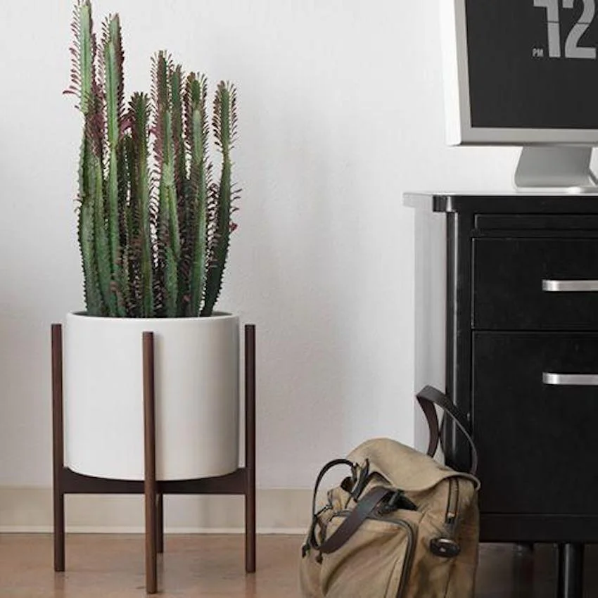 b1d043a410e8c95b9279c979c67d0e3a--plant-decor-plant-stands_f3eb5a33-3232-498f-beb3-eebf98a6a688.jpg