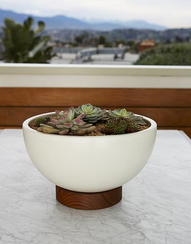 Bowl-With-Plinth-M5_1405d903-4f14-4b73-a1ba-d3d23cbba63a_large.jpg