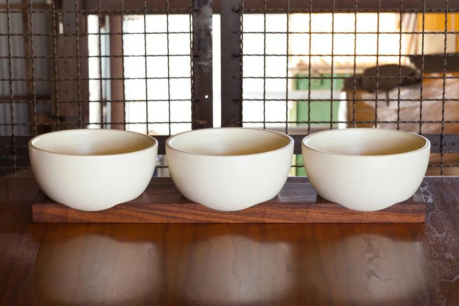 BowlPlanter-XSmall-Extra3_x700.jpg