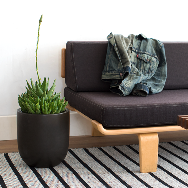 bullet_planter_grande.png