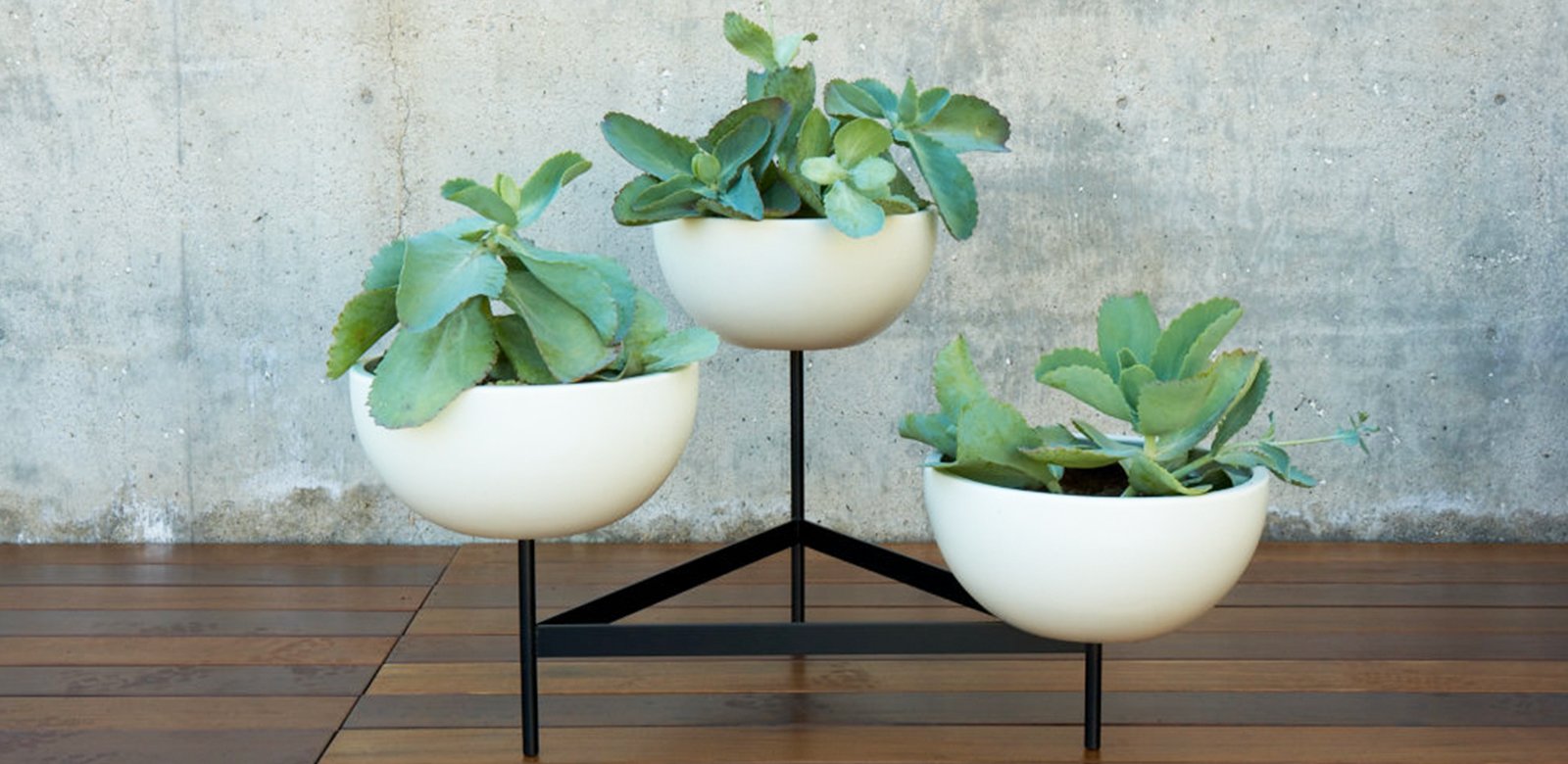 tristand-bowls-2_1.jpg