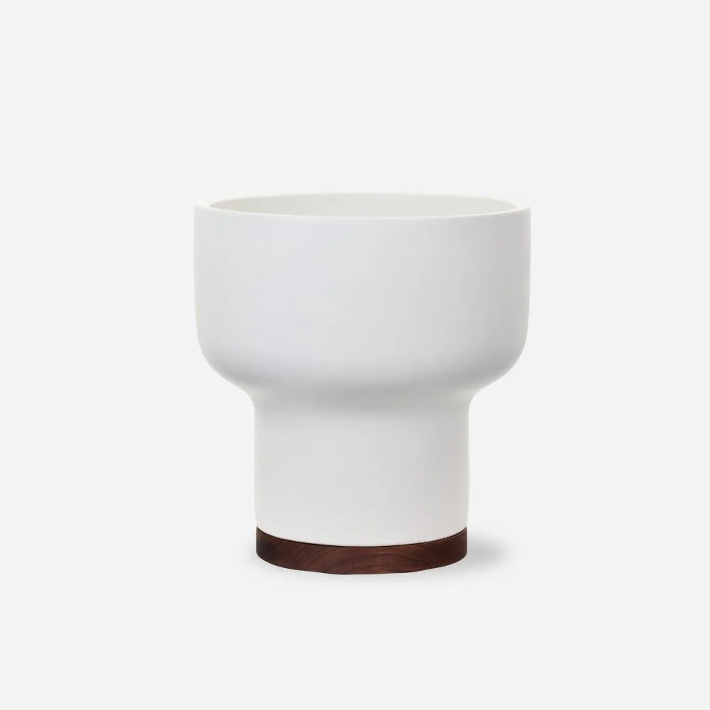 small_mushroom_white1_1728x.jpg