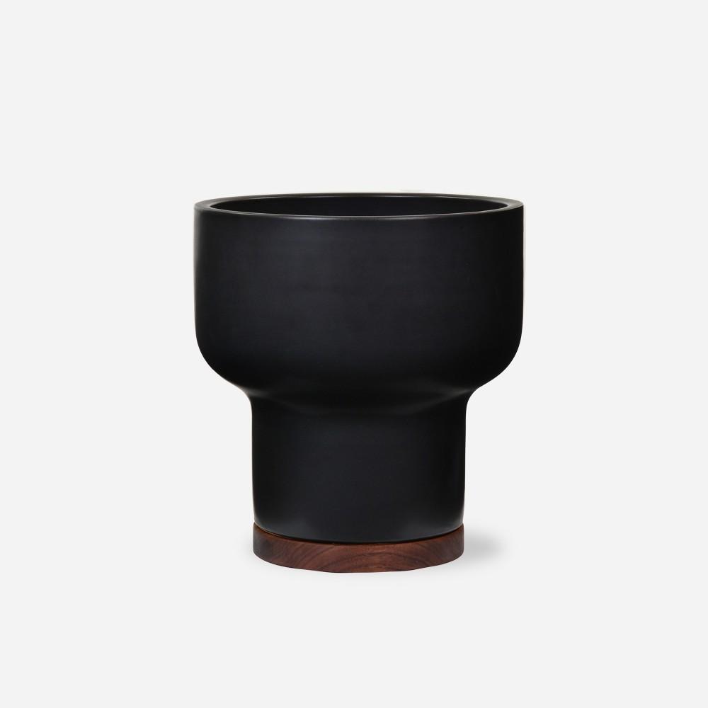 black_mushroom_small_e182590b-72f4-4433-ae17-02475955a9bc_1728x.jpg