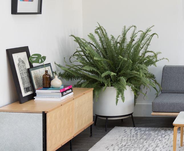 modernica-ceramics-raised-highpan-large-white-1_ccb22226-0eab-42eb-9bb7-b16c80257a21_1024x1024.jpg
