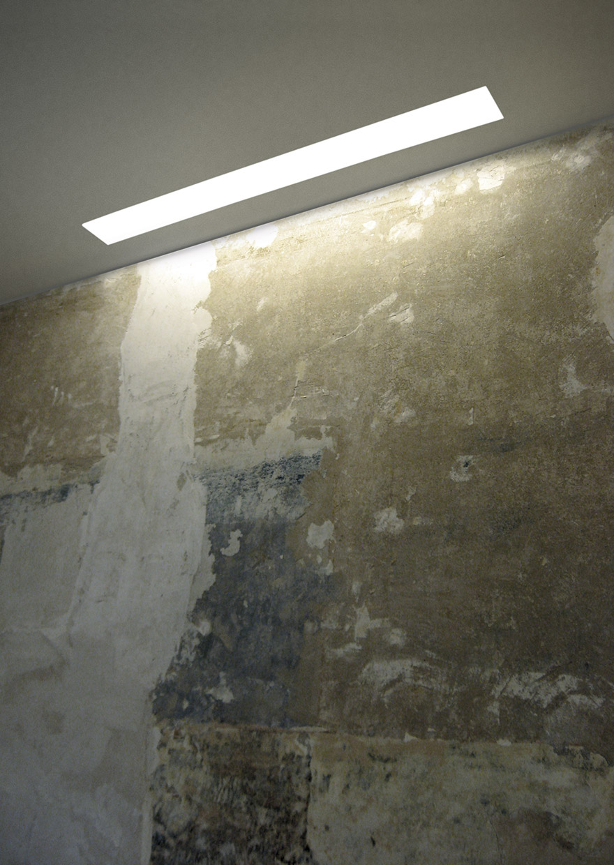 linea.jpg