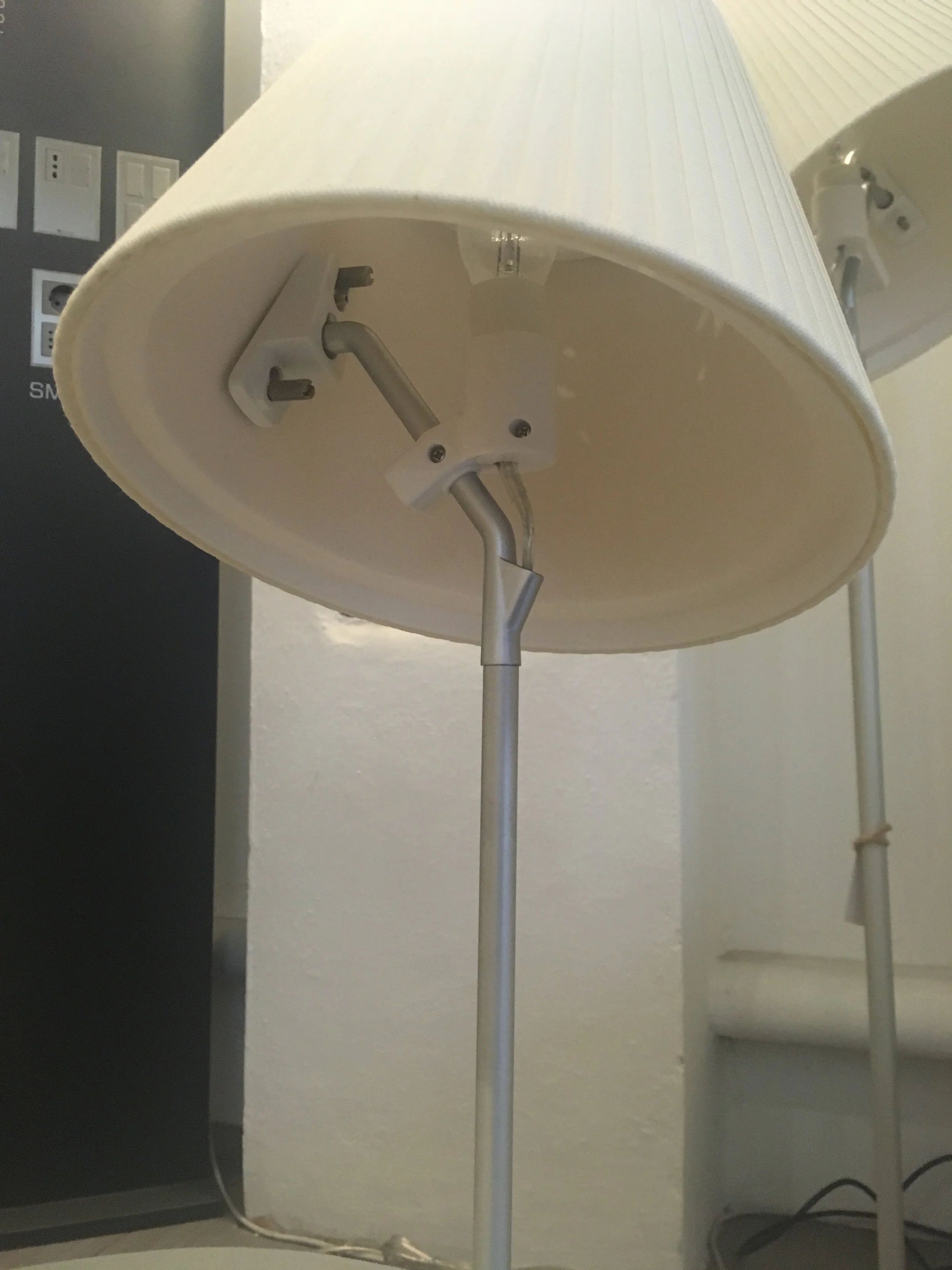 IMG-2544.JPG