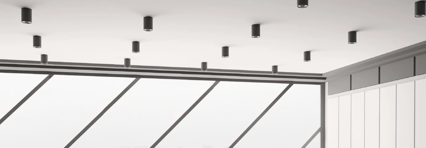 D550SH-Curve-down-light-0.jpg