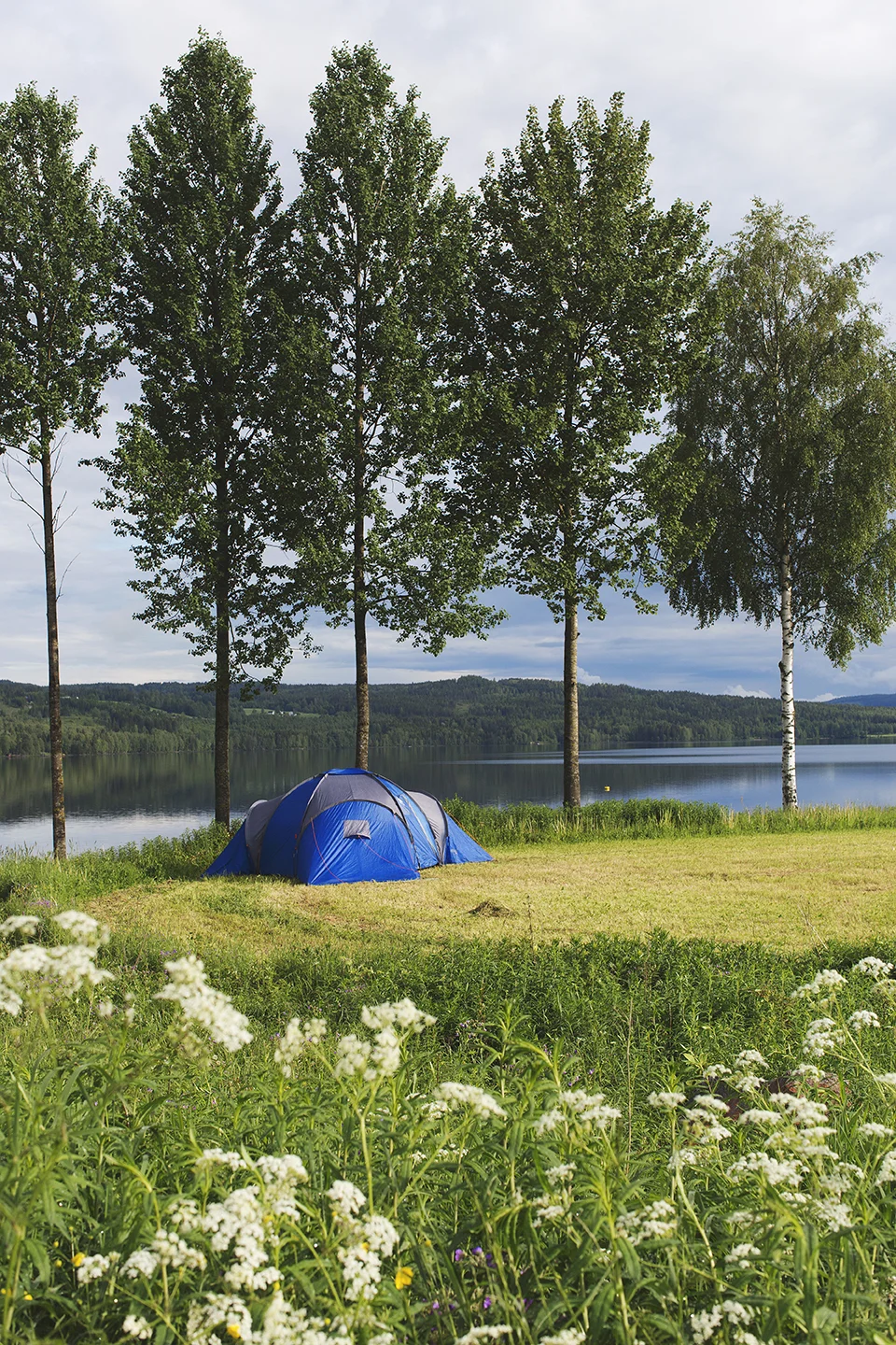 Festival_Økolandsbyen_19.jpg
