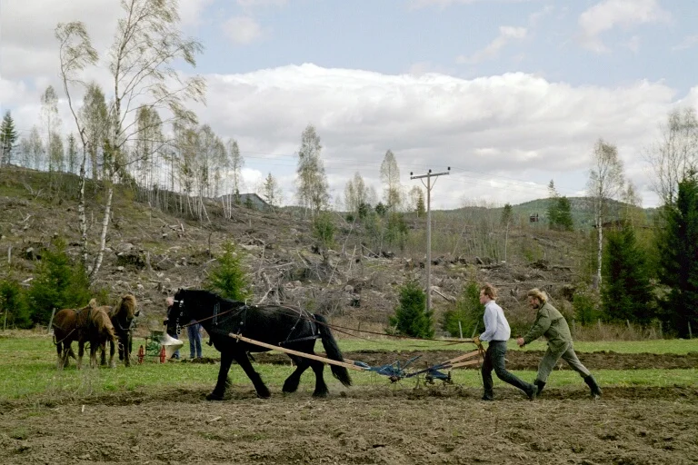 Our workhorse Svarten and Simen.jpg