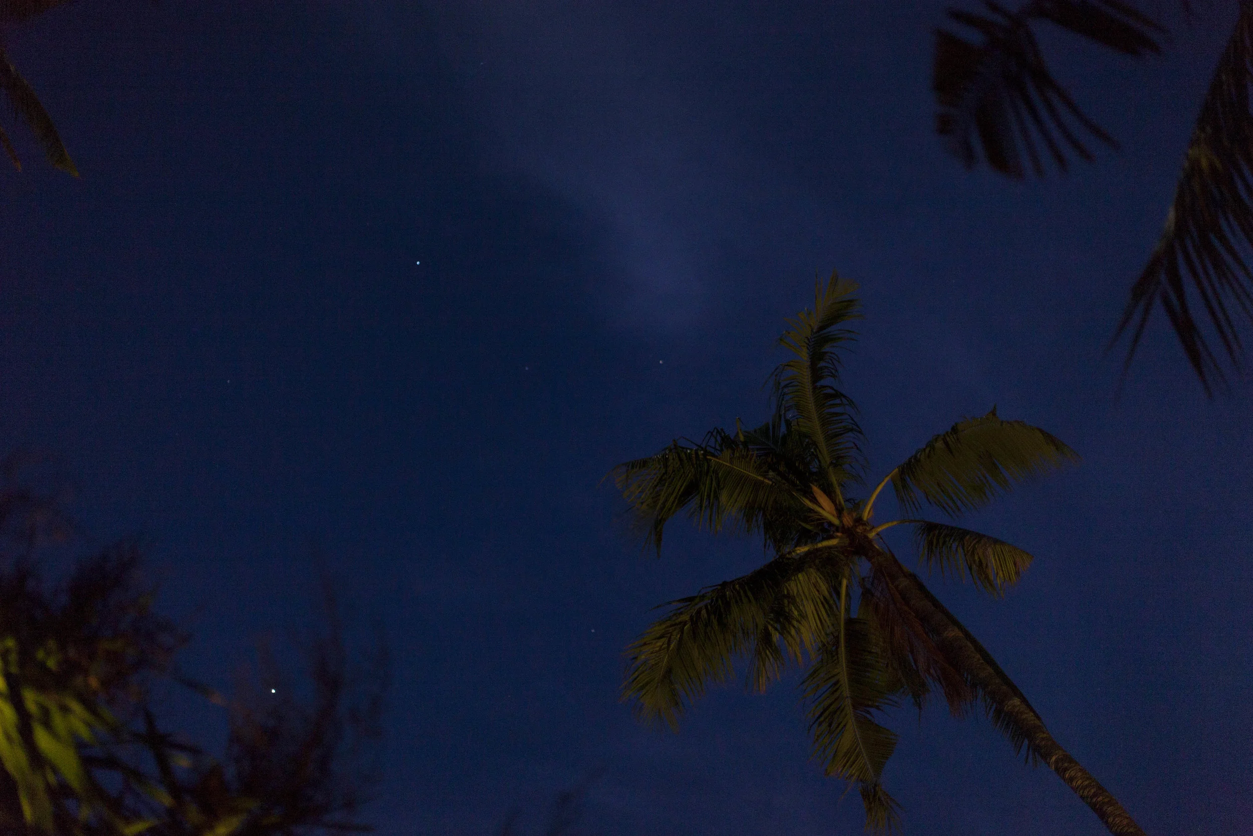 ZTS_Bali_2015_6.jpg