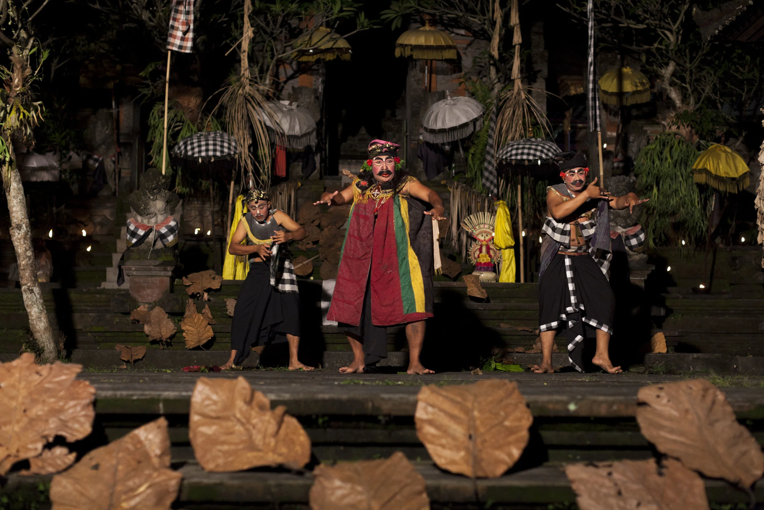 ZTS_Bali_2015_123.jpg