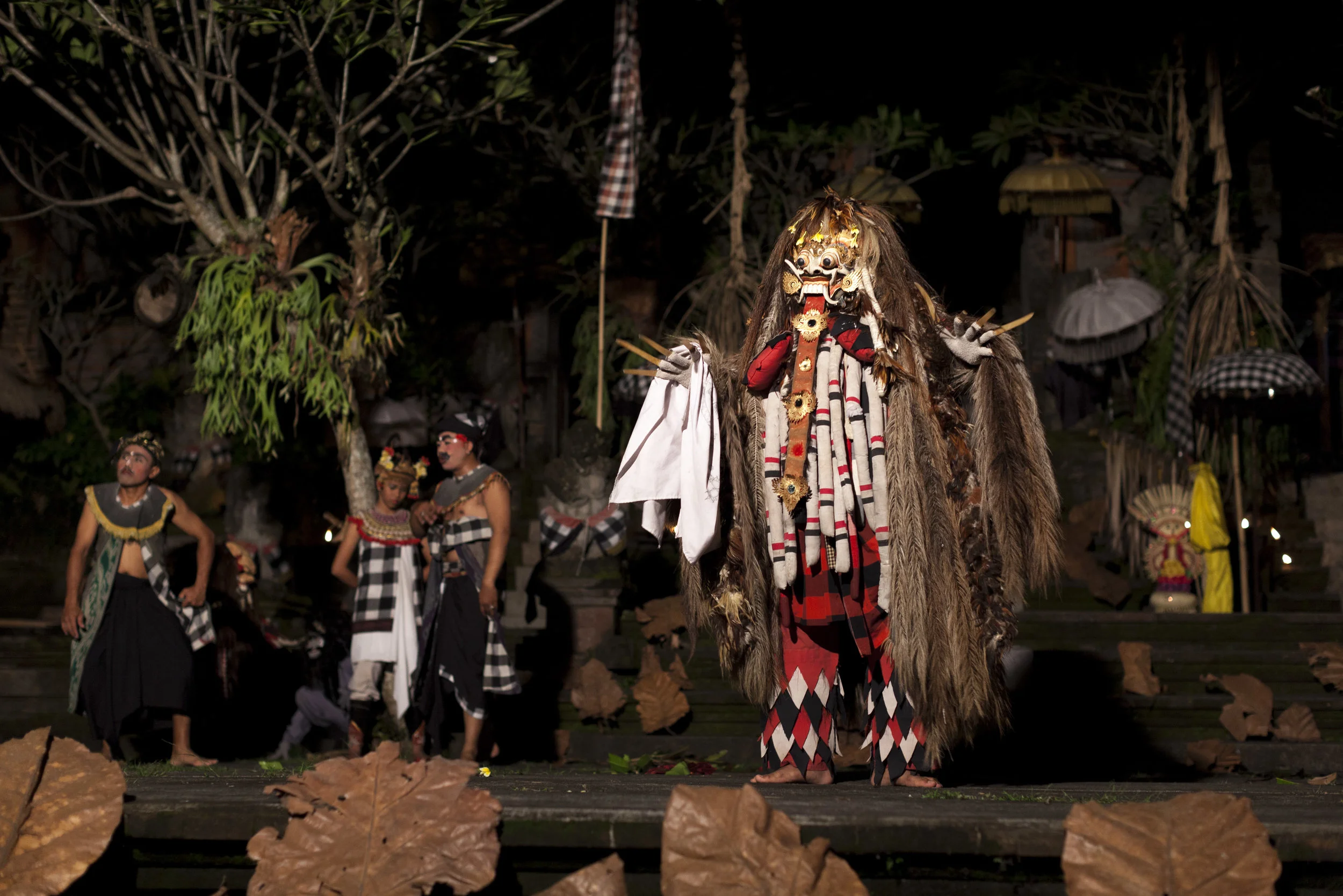 ZTS_Bali_2015_124.jpg