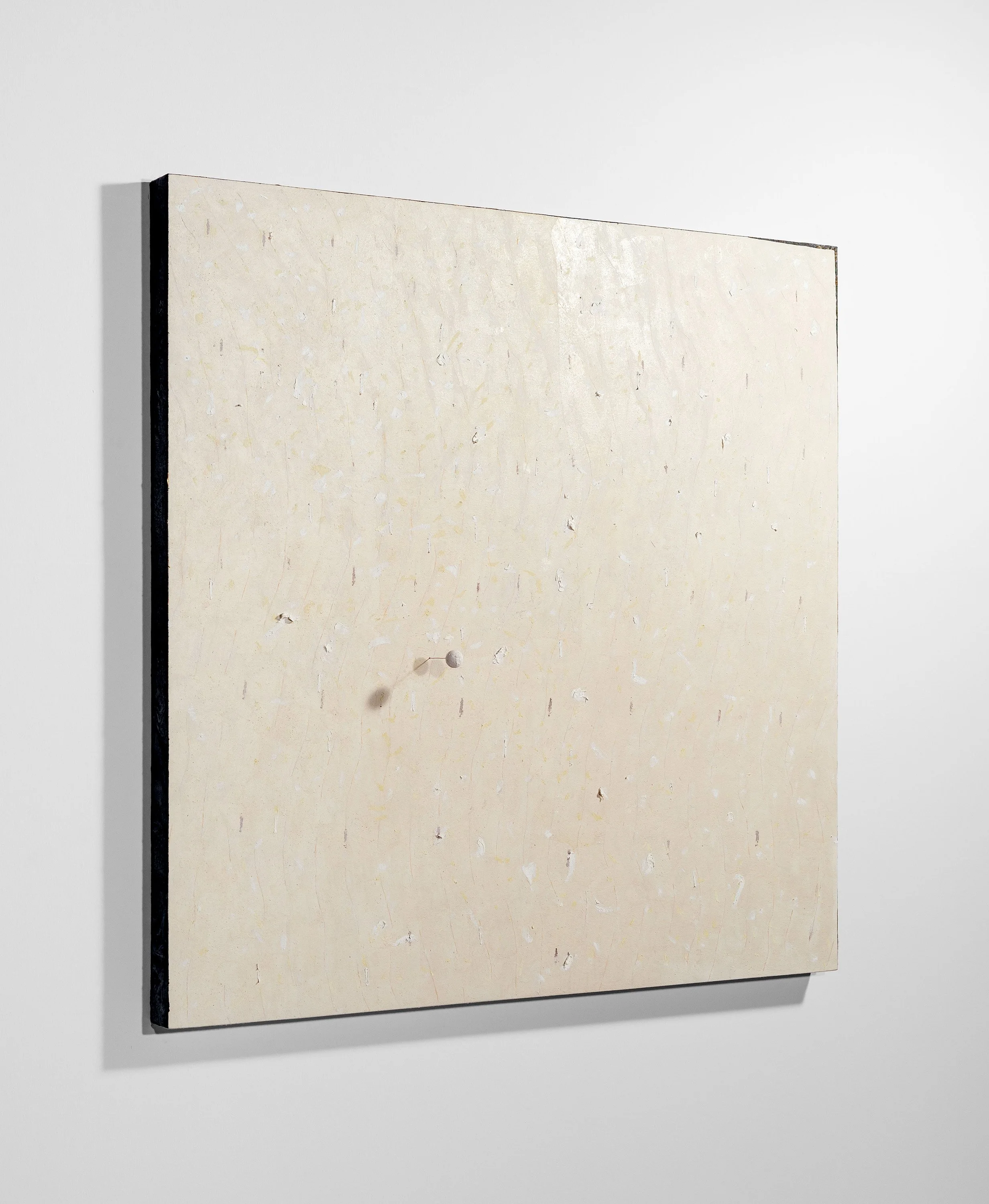 Pier Paolo Calzolari - Untitled #5 (2016) - (CREDIT LINE copyright of Pier Paolo Calzolari and courtesy of Marianne Boesky Gallery, New York and Aspen)_side 2.jpg