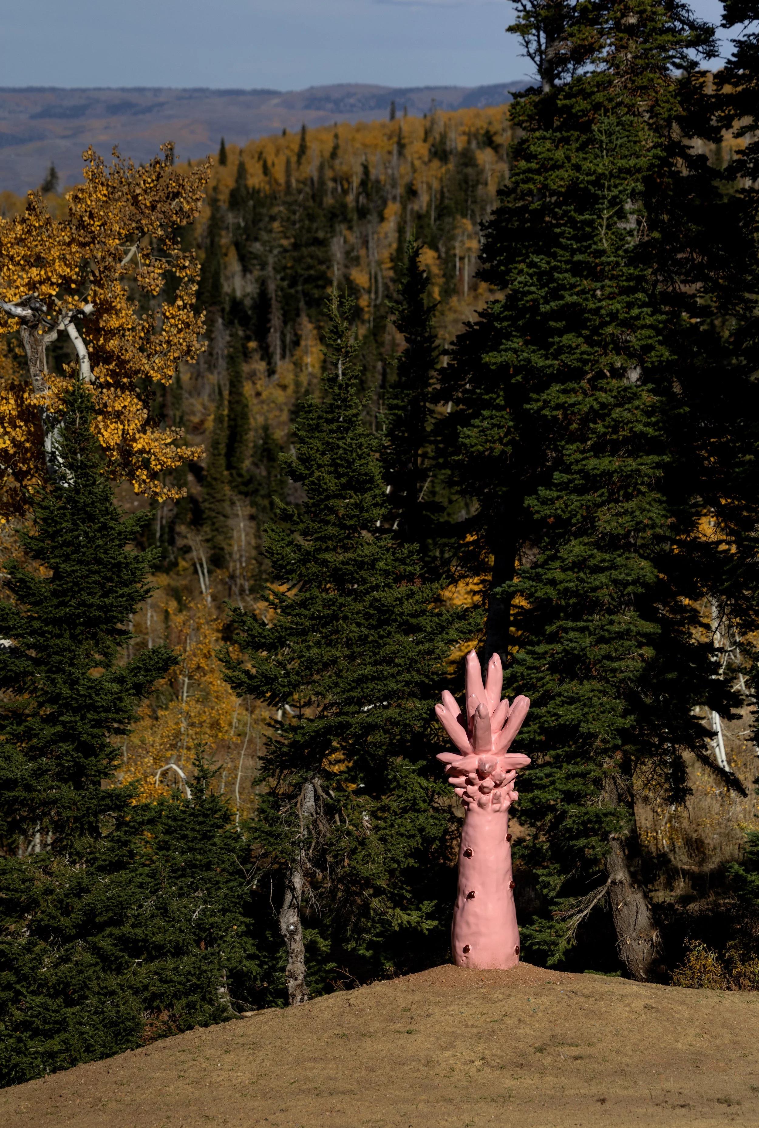 Rose Wylie - Pale-Pink Pineapple_Bomb (2025) at Powder Art Foundation, photo by Kim Raff_3.jpg