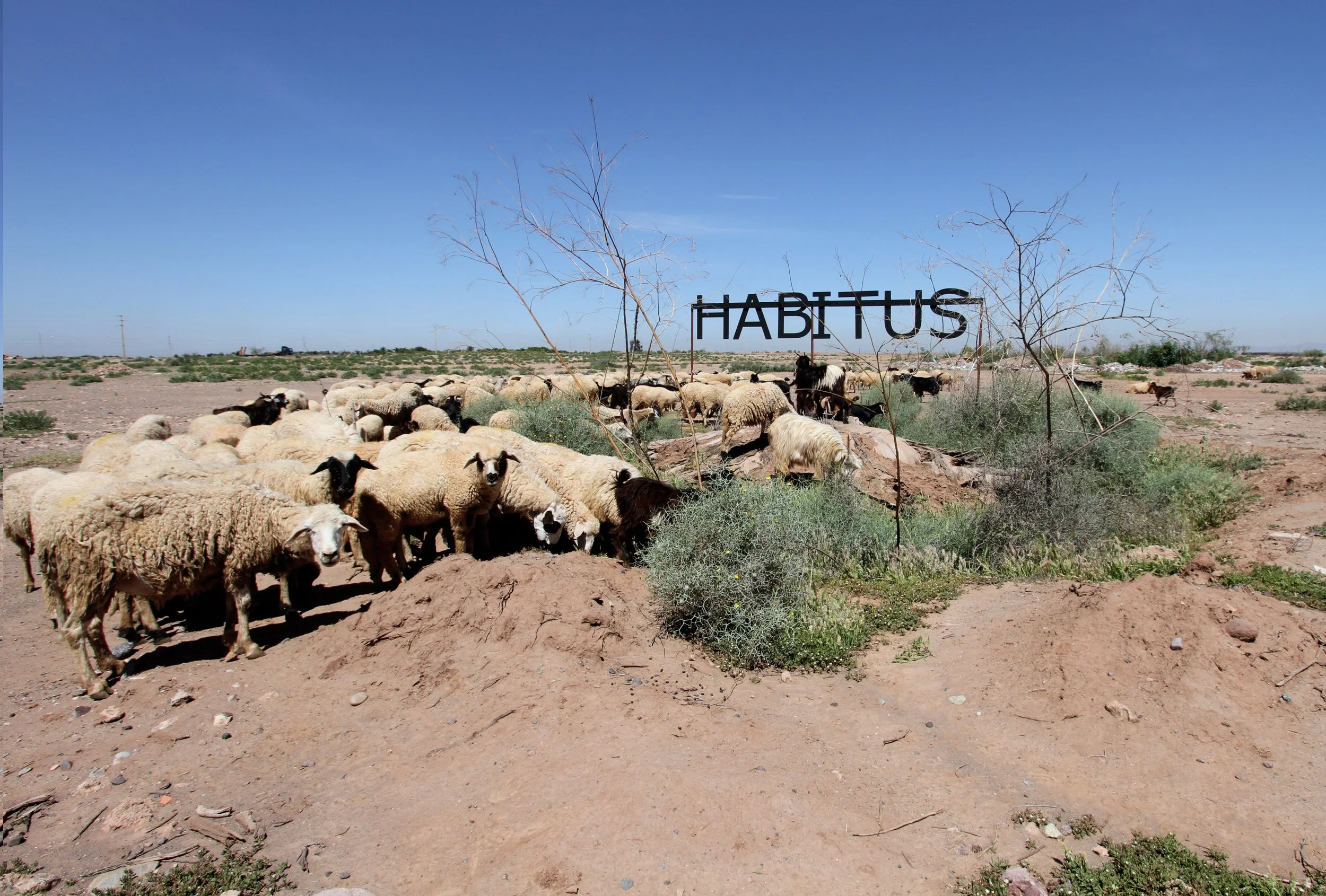 AGAFAY DESERT / MAROC 2018