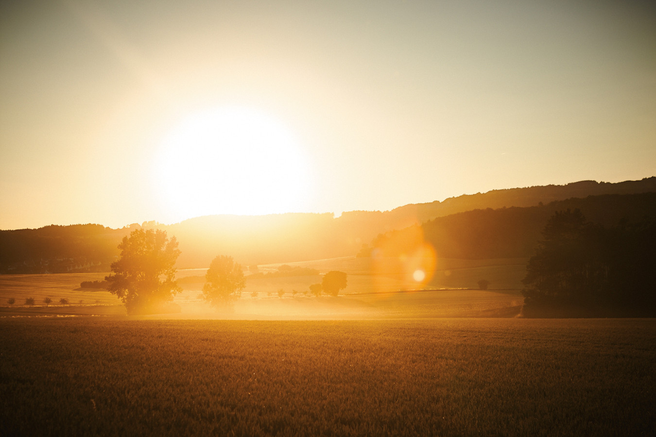 niedersachsen_benhupfer-008.jpg