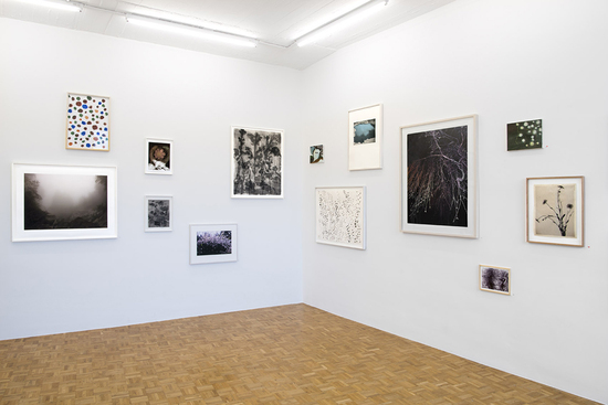 Ausstellungsansicht Galerie Brigitte Rosenberg 2016