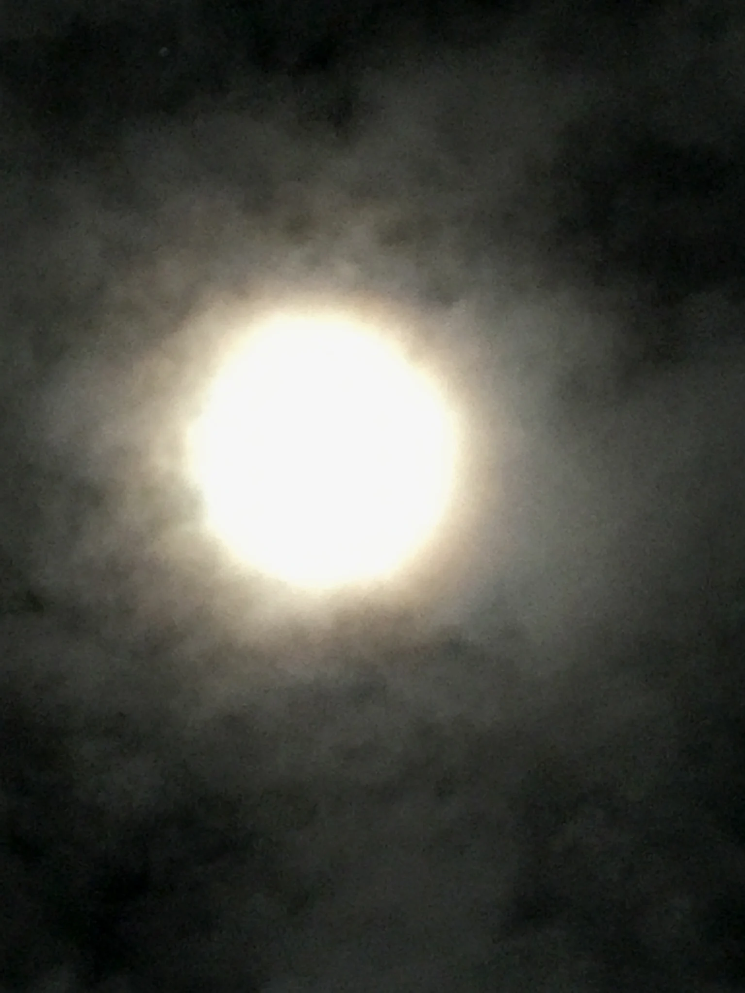 nachtmond1_2041.jpg