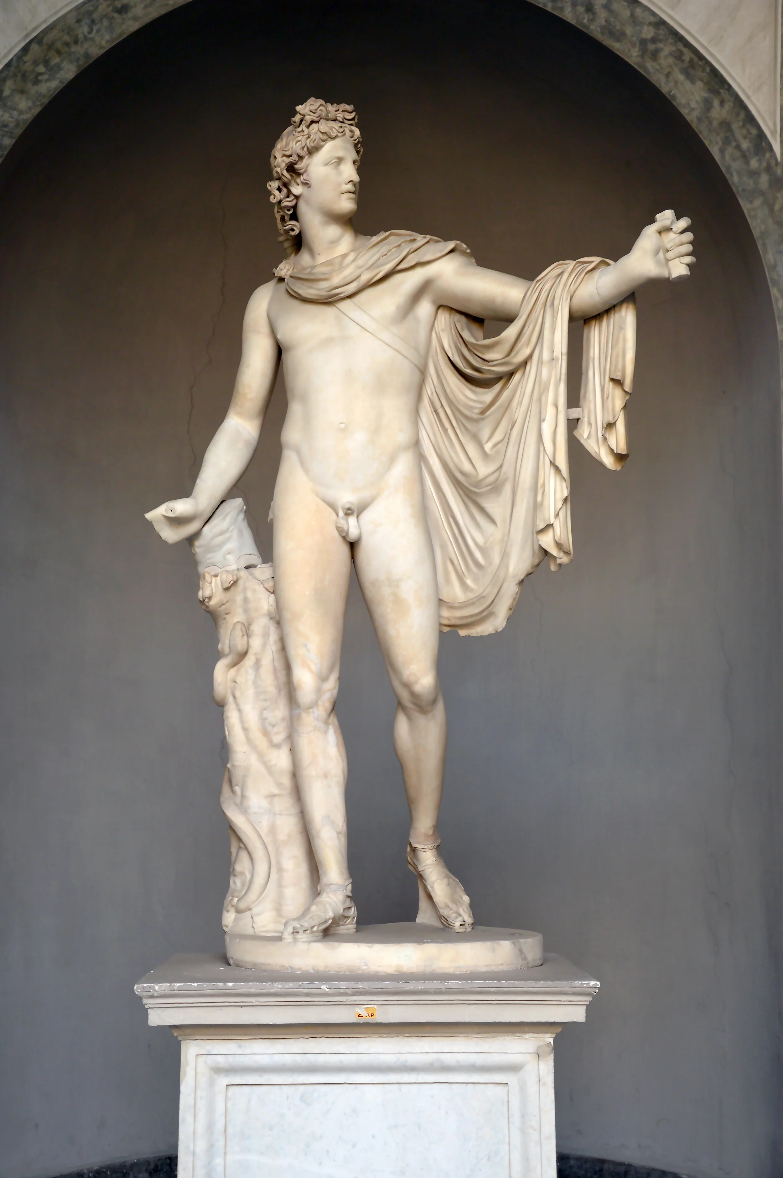 Apollo_of_the_Belvedere_Front_view.jpg