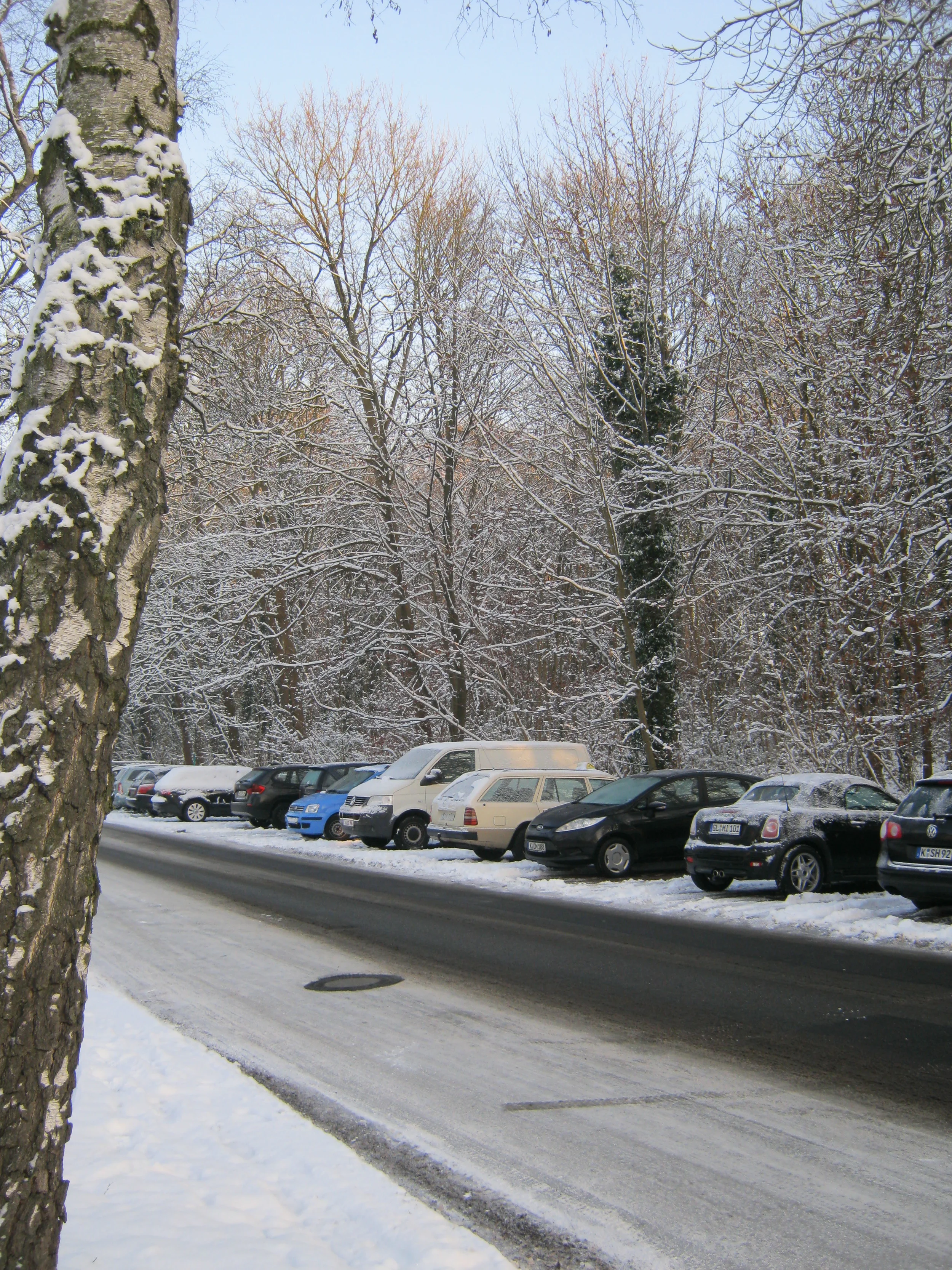 IMG_0006.JPG