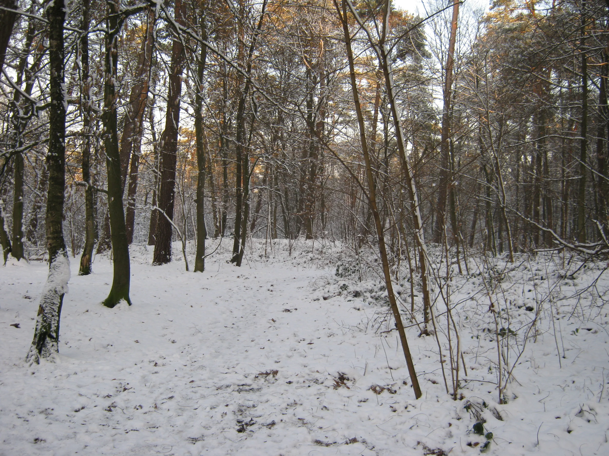 IMG_0019.JPG