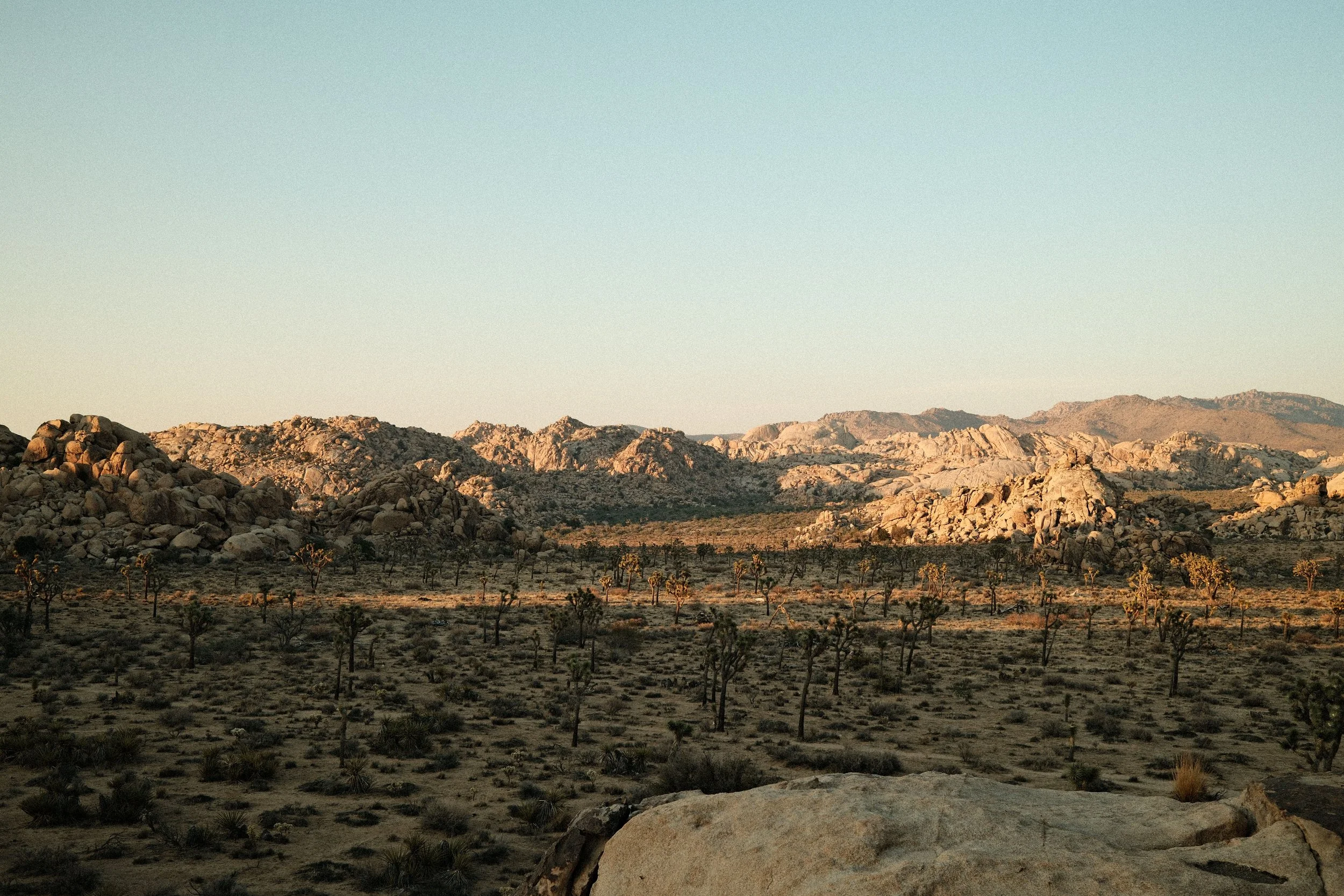 No Country for Old Men (titolo italiano: Non è un paese per vecchi), di Cormac McCarthy 