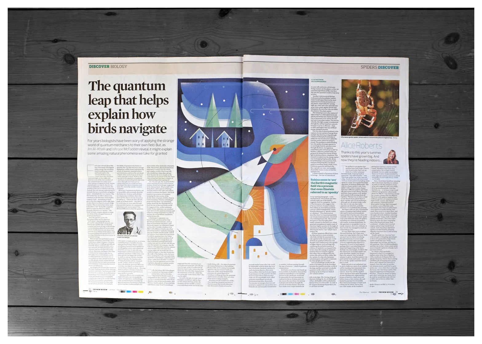 freelance illustrator&nbsp;dale edwin murray&nbsp;conceptual&nbsp;editorial observer newspaper illustration