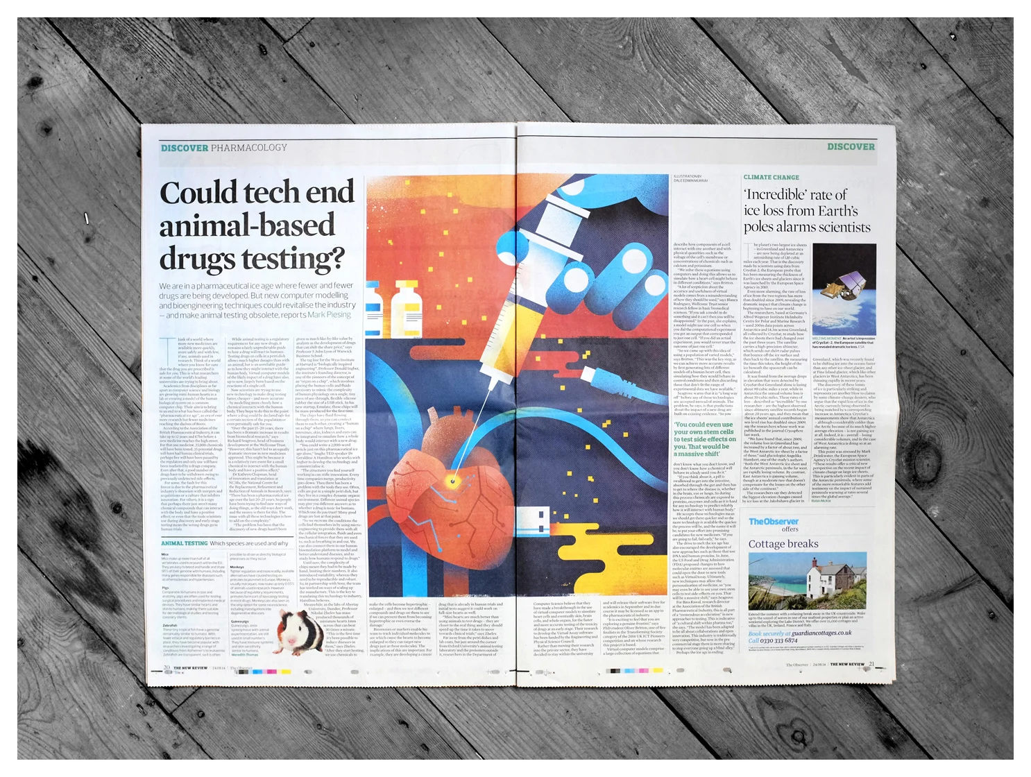 freelance illustrator&nbsp;dale edwin murray&nbsp;conceptual&nbsp;editorial observer newspaper&nbsp;illustration