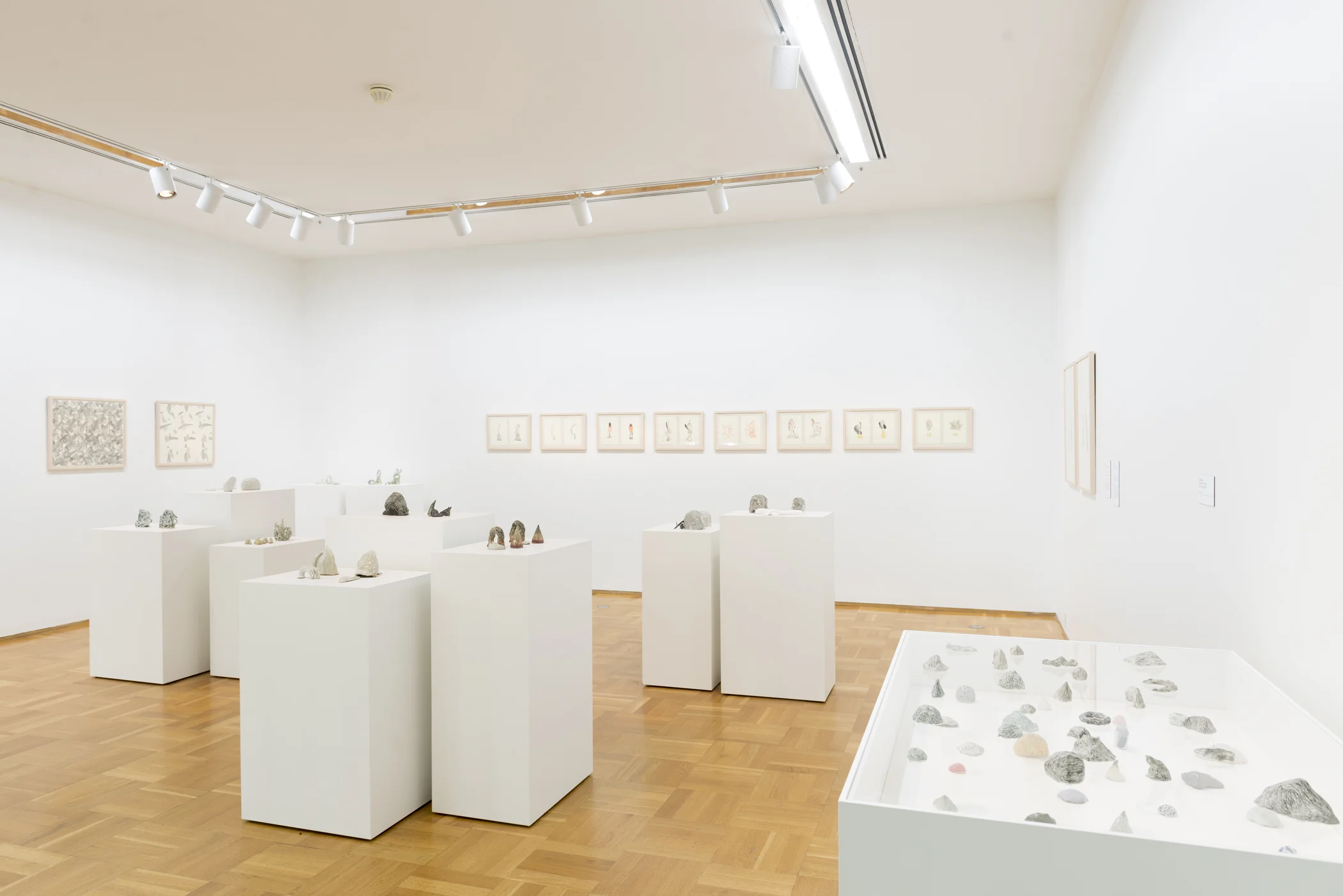 Installation view, Chicago Works: Lilli Carré, MCA Chicago Photo: Nathan Keay, © MCA Chicago