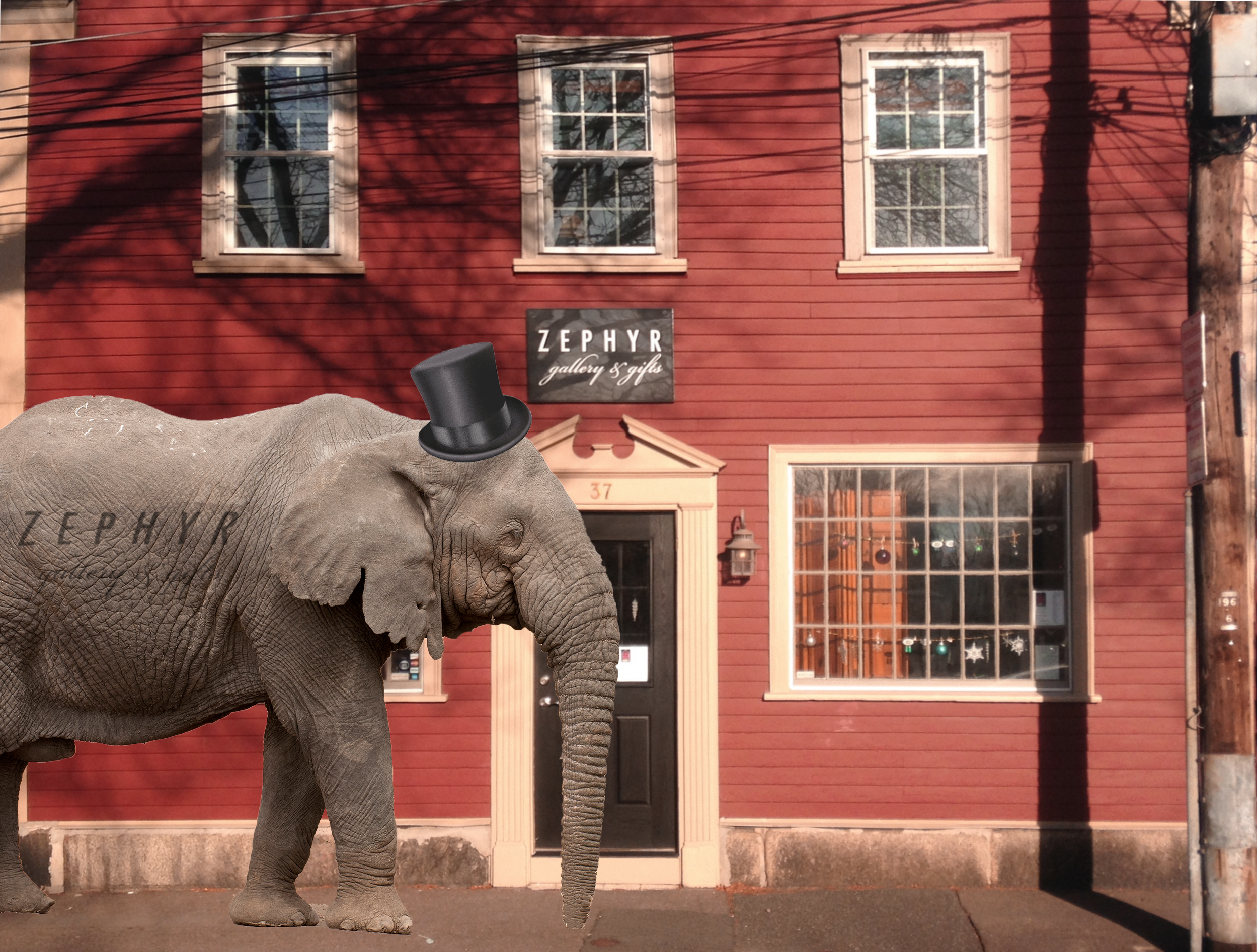 ELEPHANT