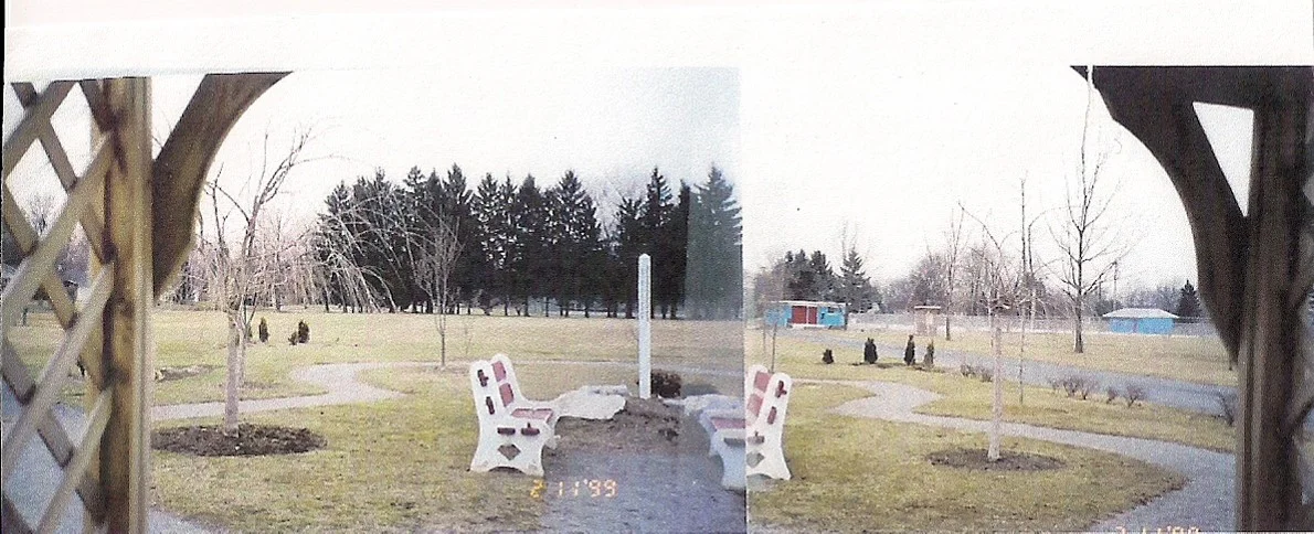 Garden early.jpg