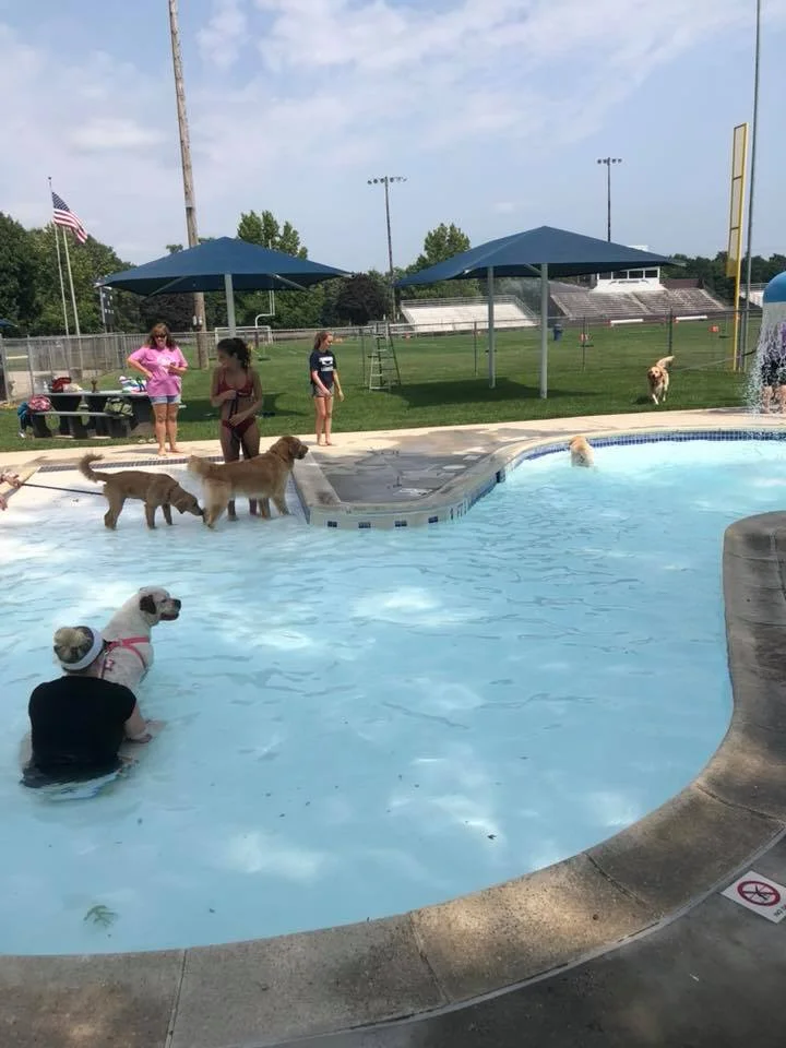Doggie Dip.jpg
