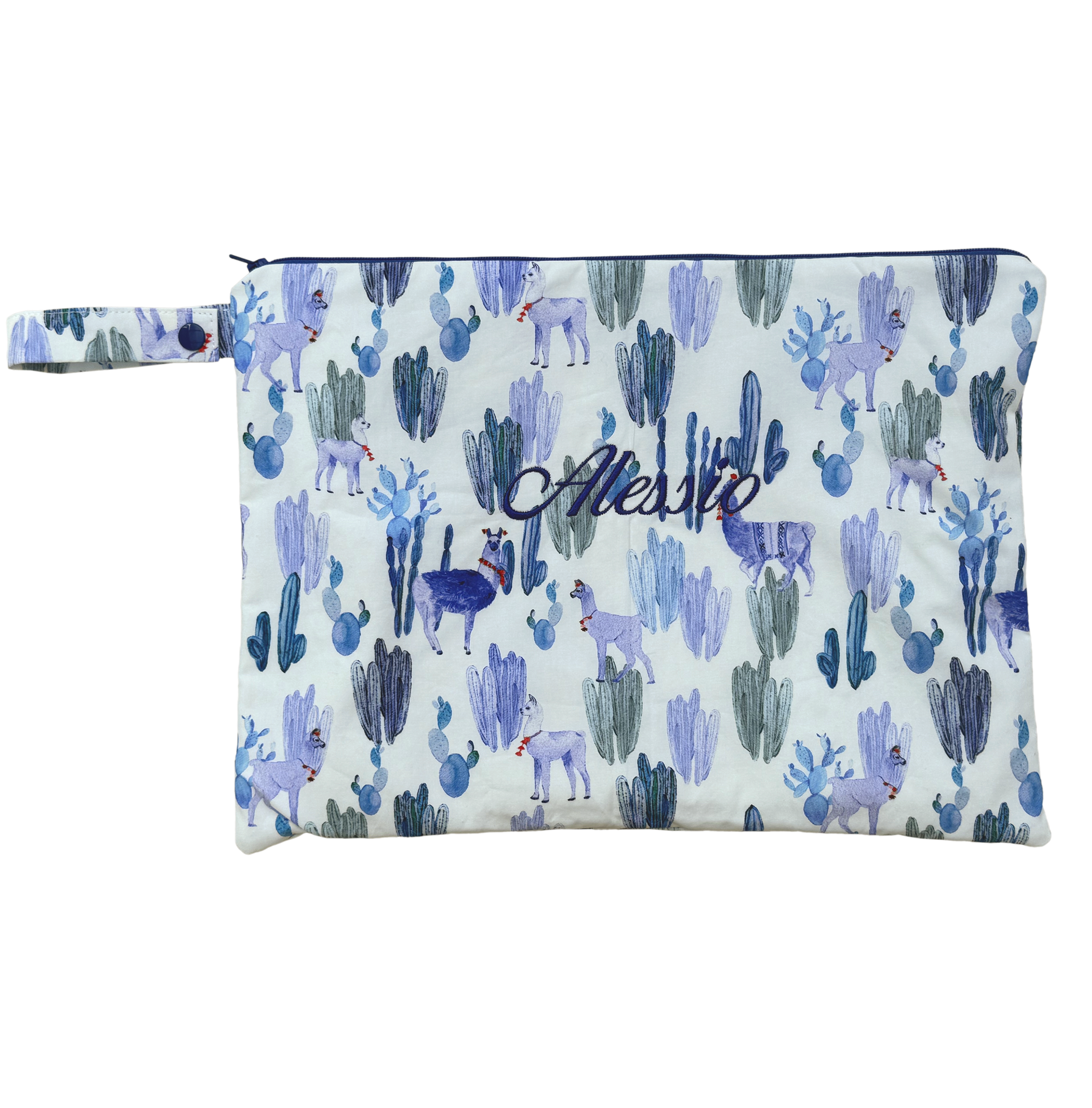 Altiplano Large Bikini Bag - Blue.png