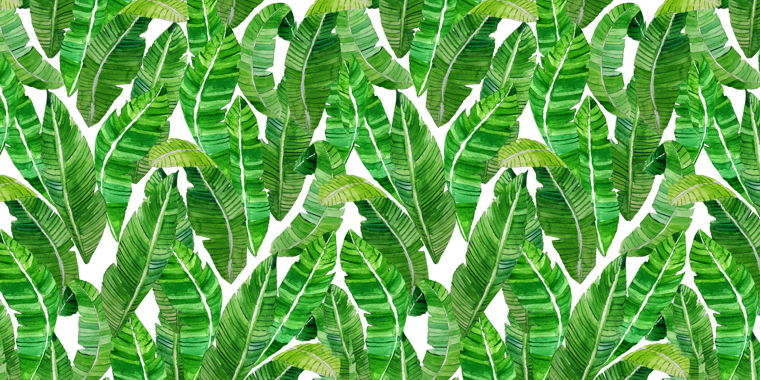 Palm_green_web.jpg