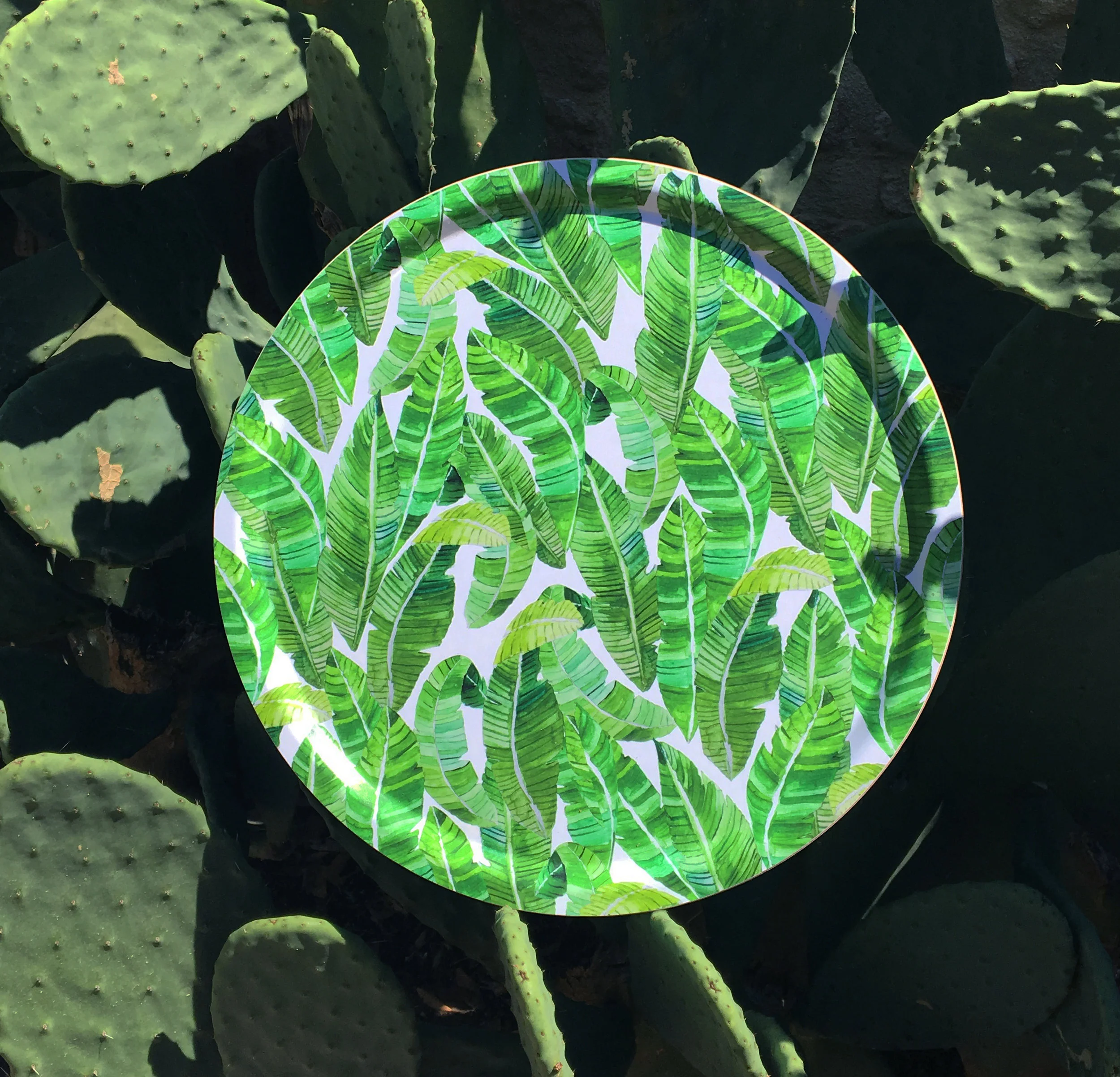 bananeira_cactus.jpg