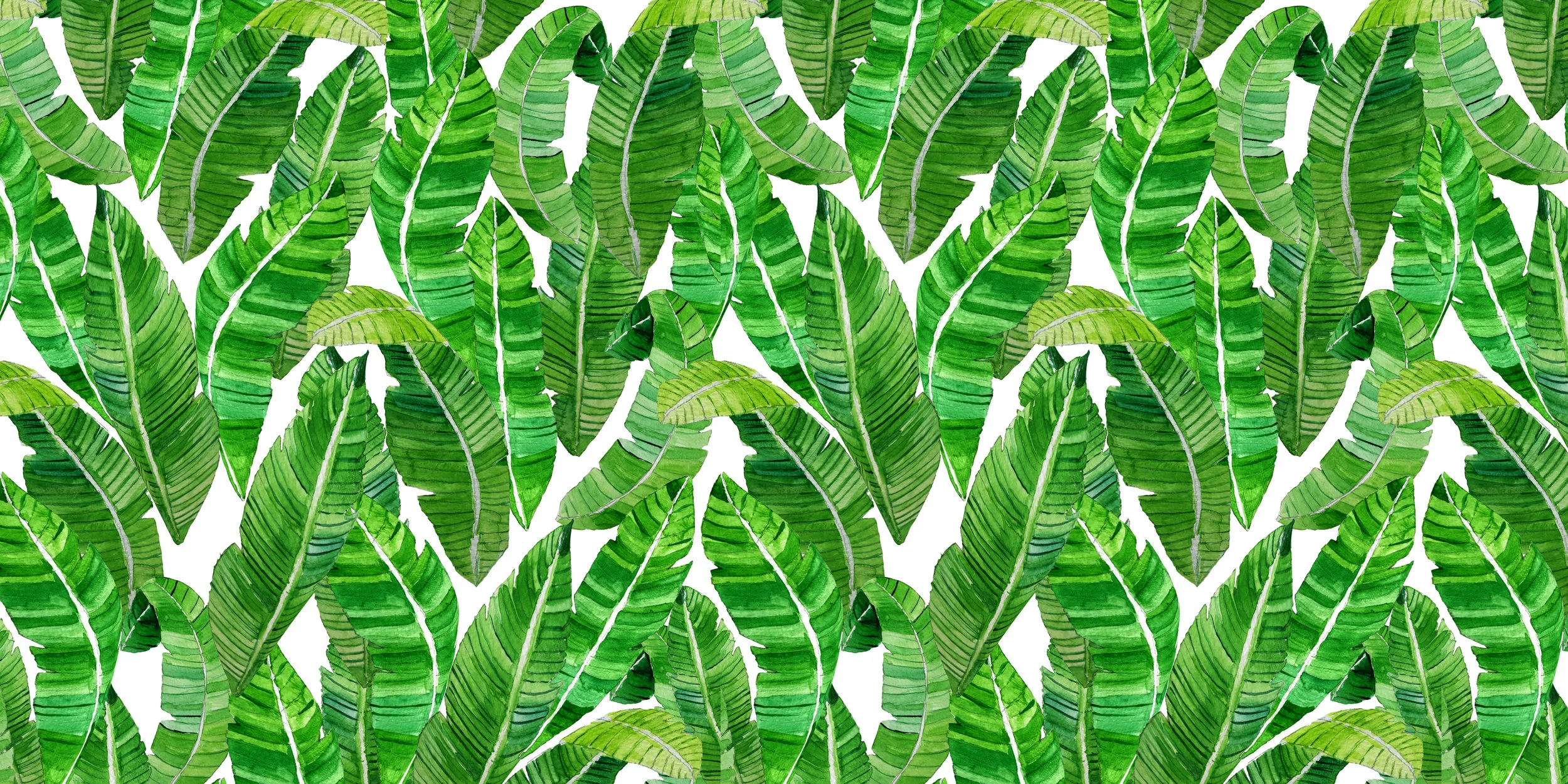 WallP-Bananeira.jpg