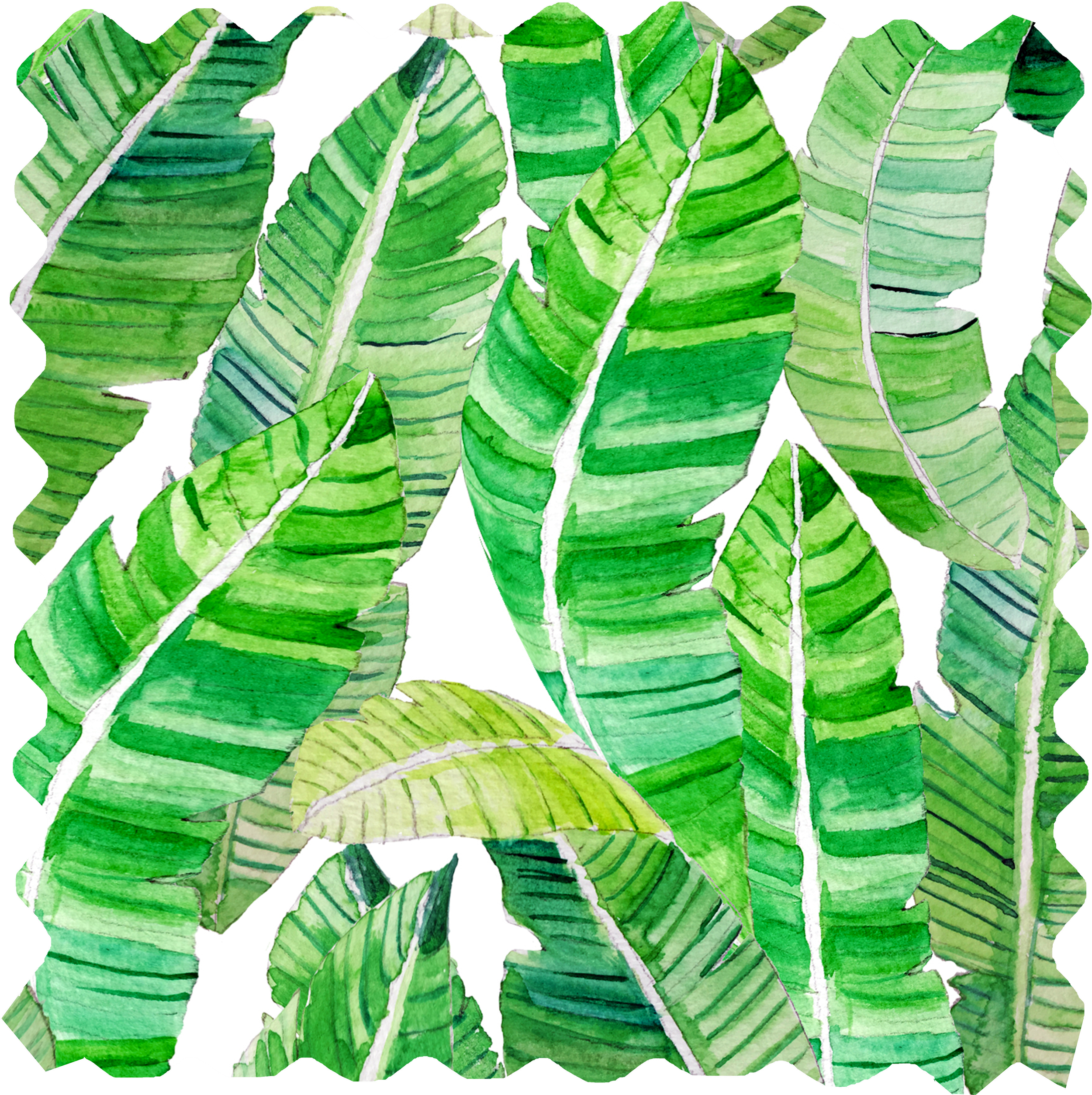 Bananeira Fabric