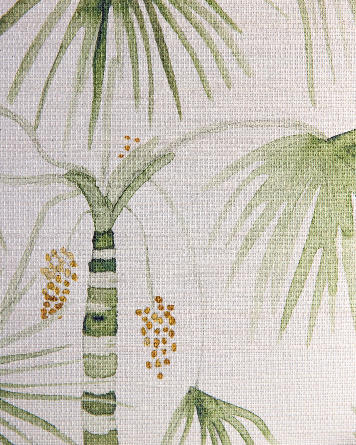 This month, we're exploring where nature becomes drawing.
With Palma, we didn't look at the palm tree, we looked between them. The space between trunks, the interplay of lines, the rhythm that emerges when you let geometry take over. Stripes that ech