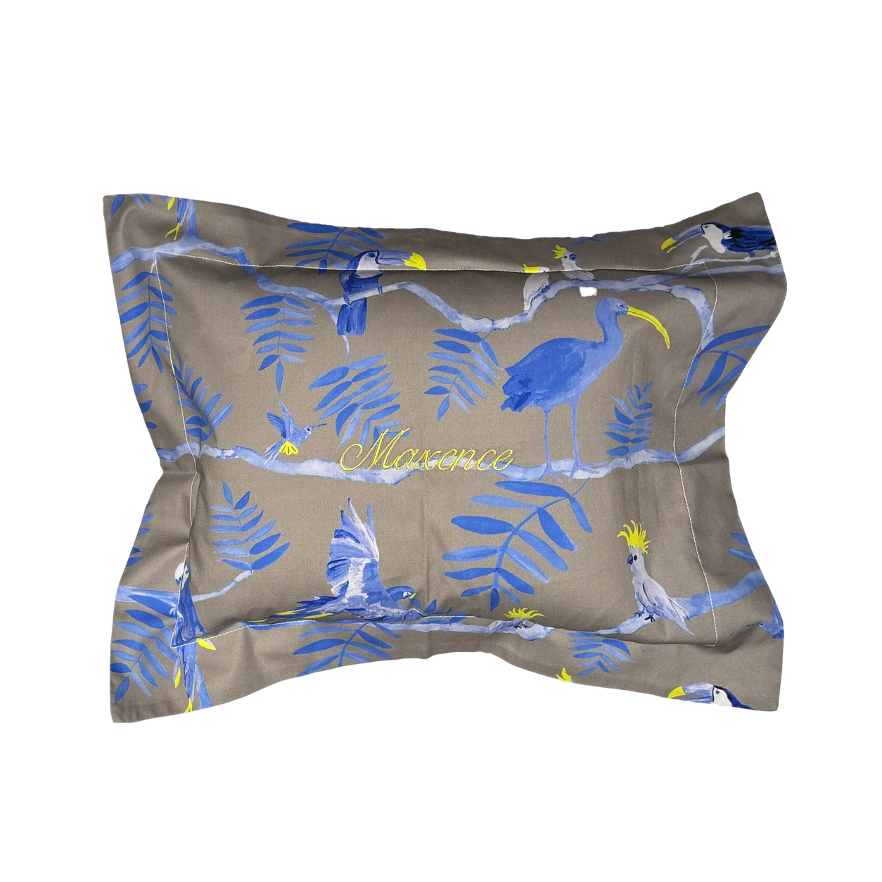Pantanal_personalised_pillow_blue_on_grey.png