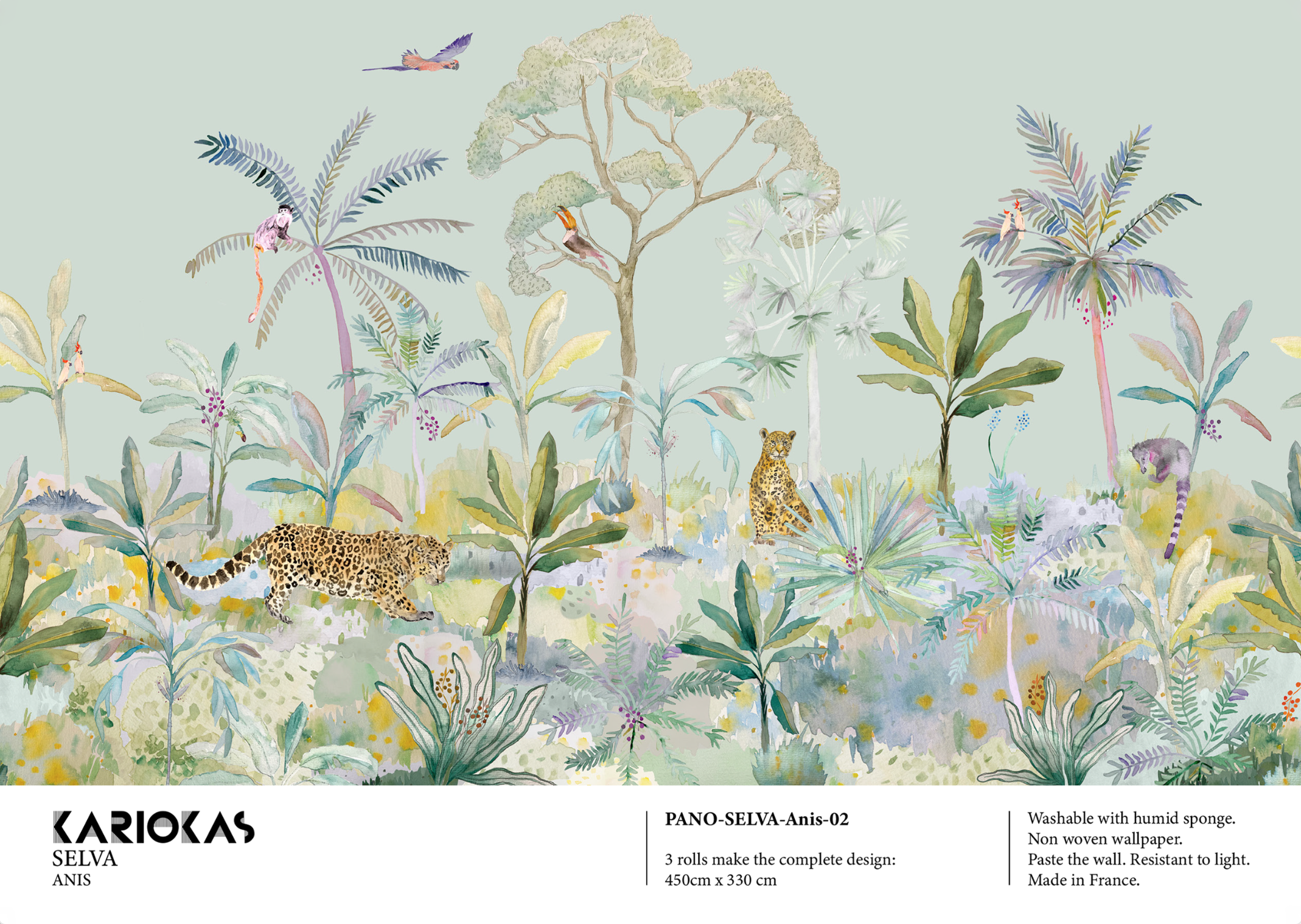 Selva Sample Anis.png
