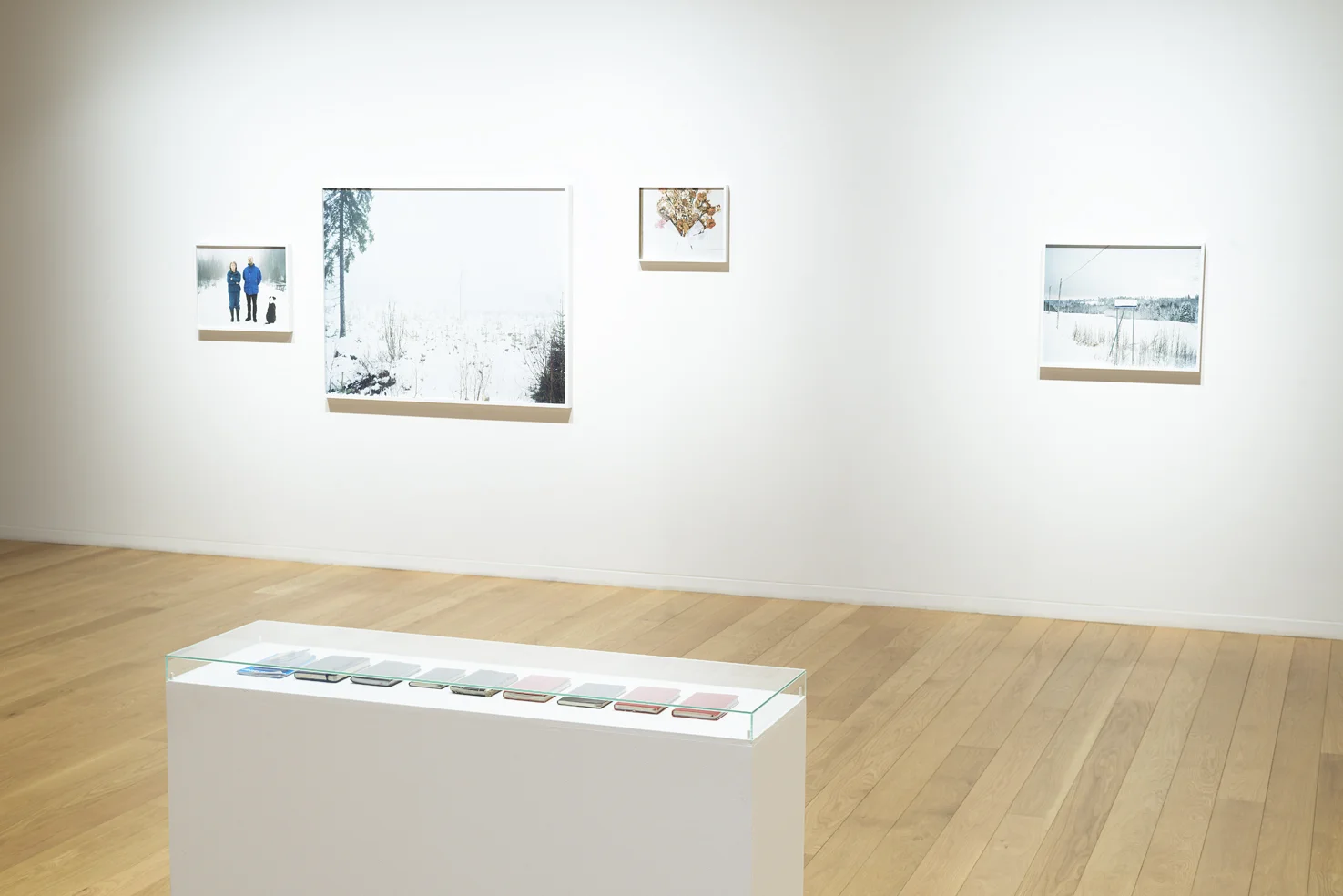 Umeå konsthall 2016