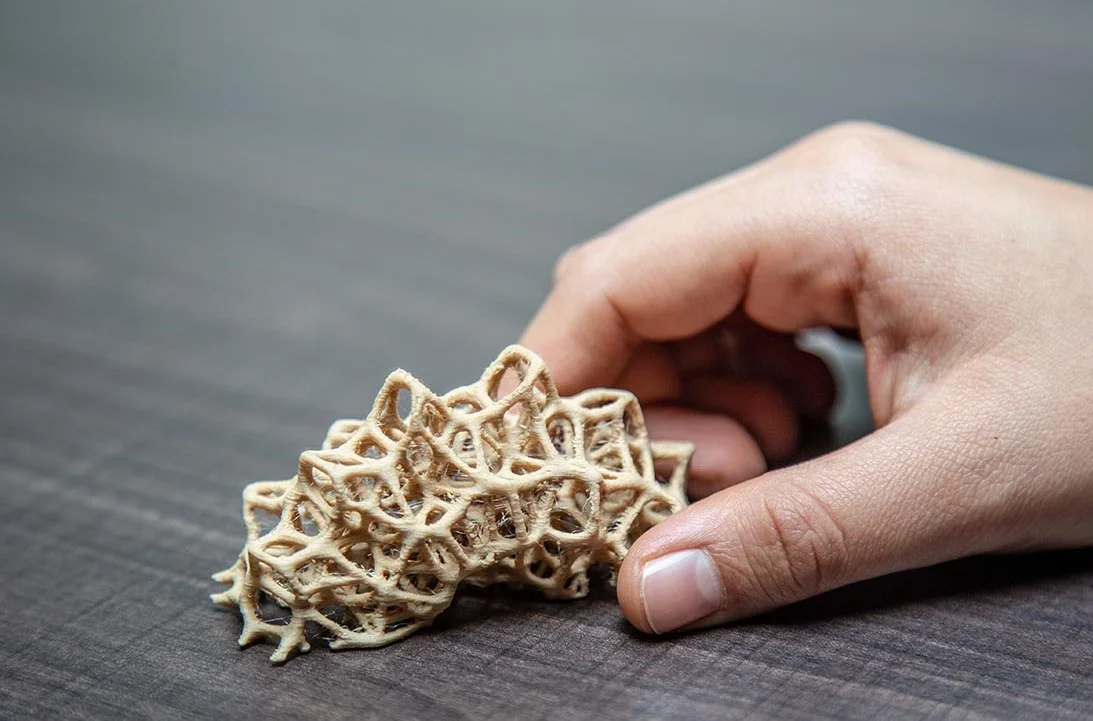 Article: New Generation Solutions with James Dyson