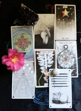 the Wild Unknown Tarot