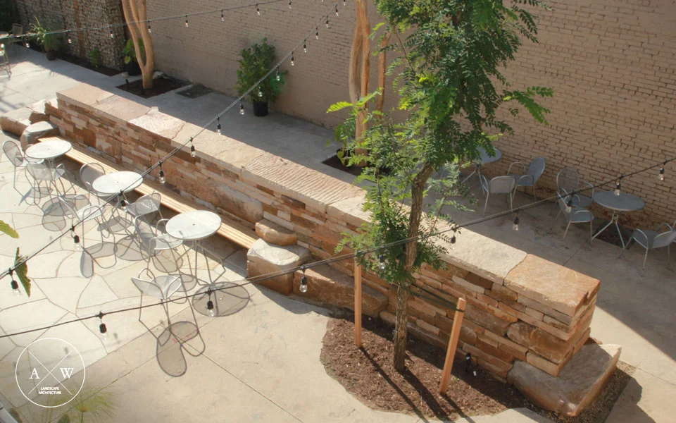 AWLA Robinia 3.jpg