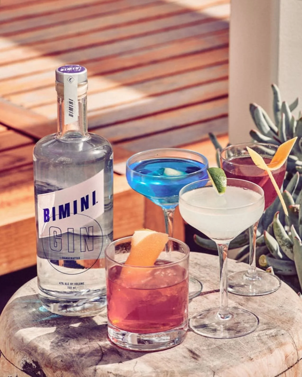 Intro — Bimini Gin