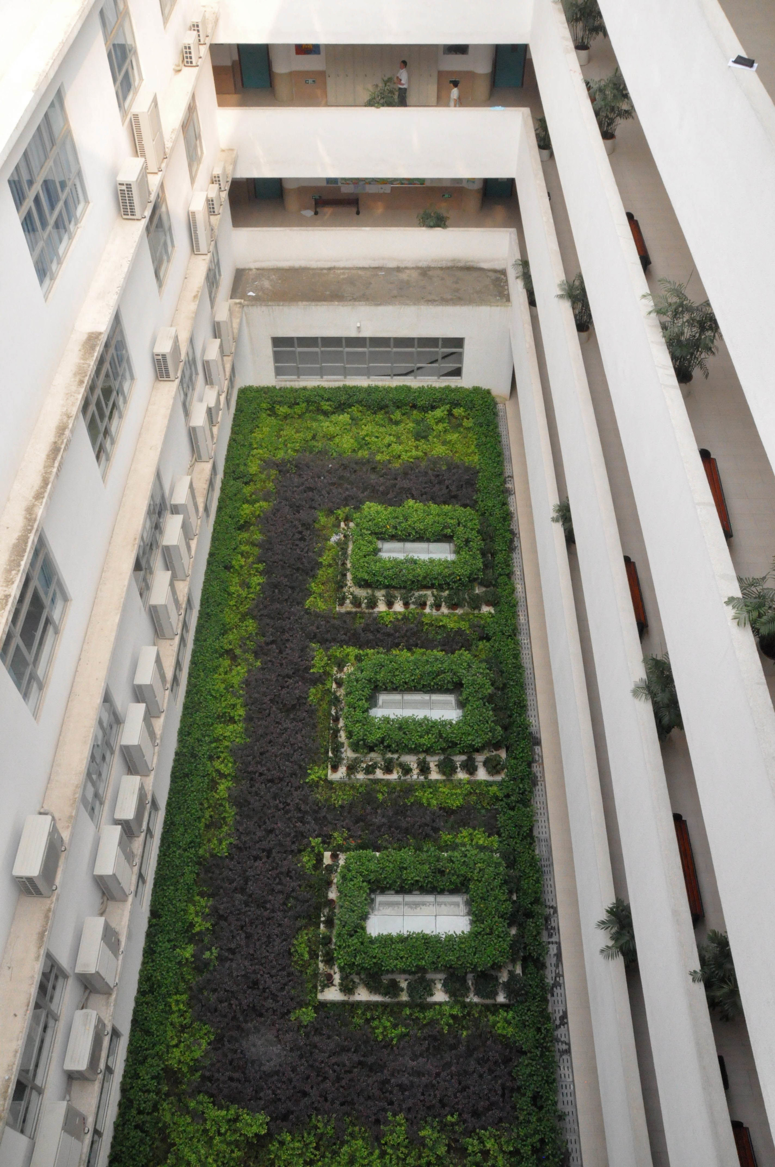 DSC_0047.jpg