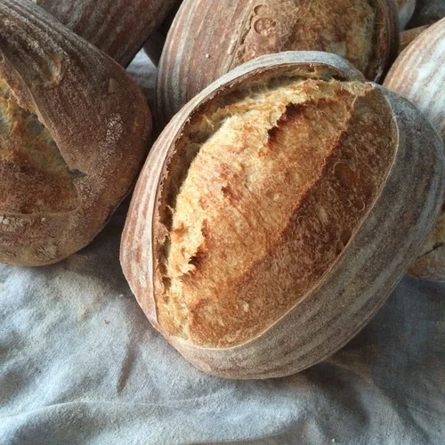Holiday Pain Au Levain