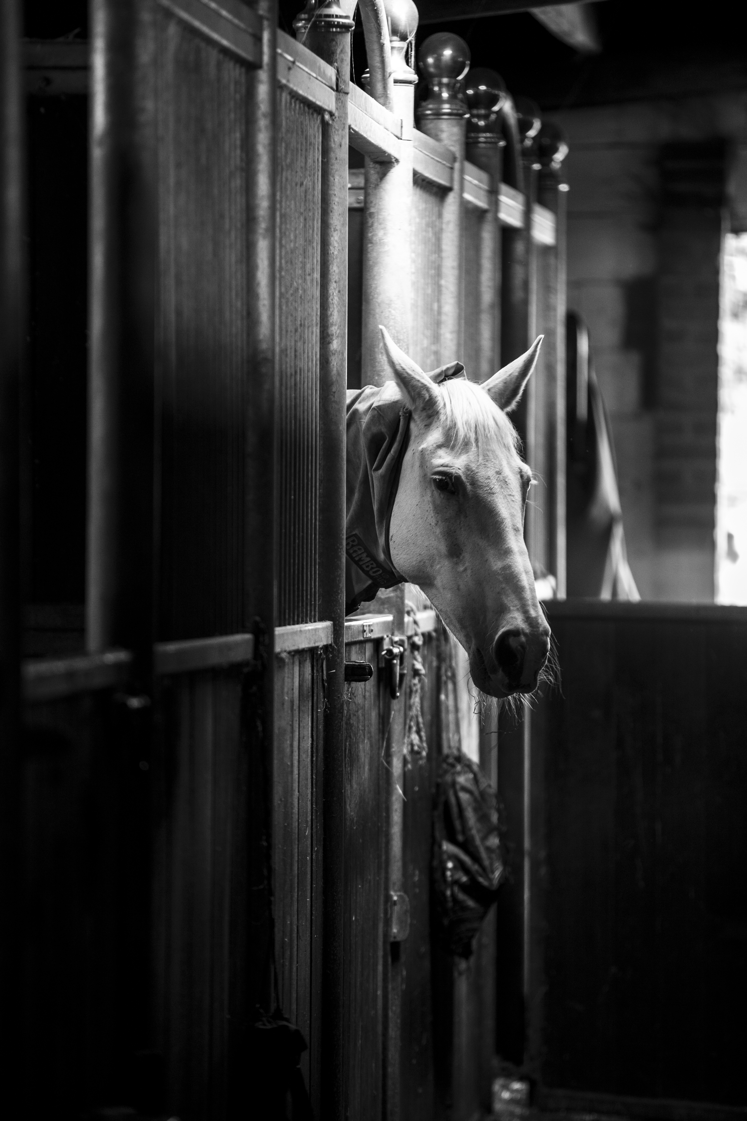 ADDO Photography-4.jpg