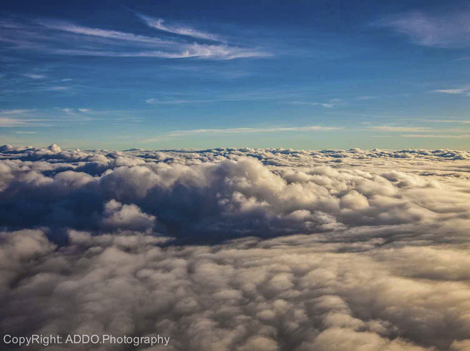 -ADDO-Photography-Design-15.jpg